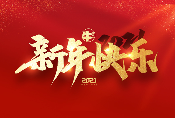 麗水市威儀自動(dòng)化技術(shù)有限公司祝全國(guó)人民2021年新年快樂！