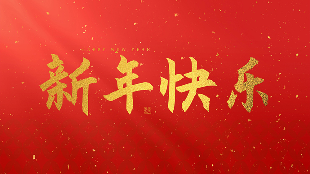 麗水市威儀自動(dòng)化技術(shù)有限公司祝全國(guó)人民2025新年快樂(lè)！
